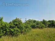 Terrain à LA VERDIERE