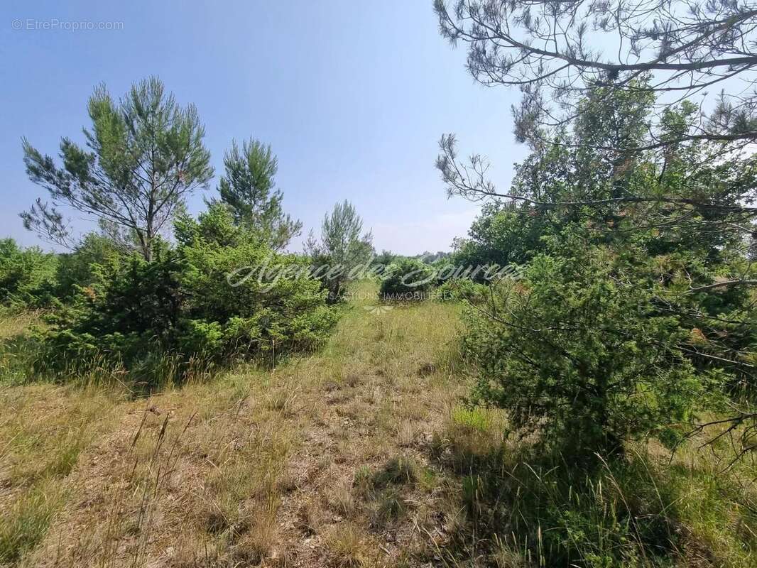 Terrain à LA VERDIERE