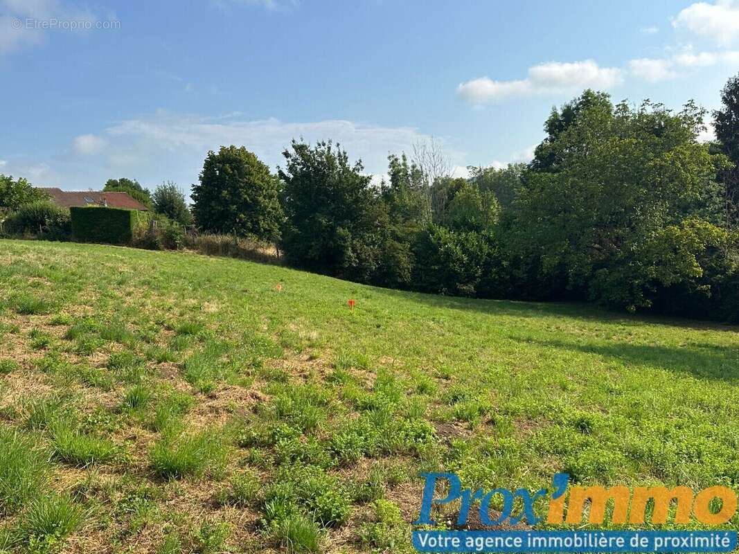 Terrain à SAINT-GEOIRE-EN-VALDAINE