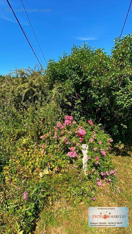 Maison à SAINT-DIDIER-SUR-BEAUJEU