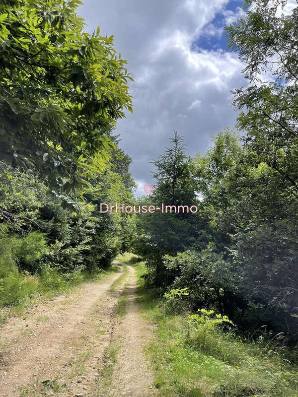 Maison à SAINT-APOLLINAIRE-DE-RIAS