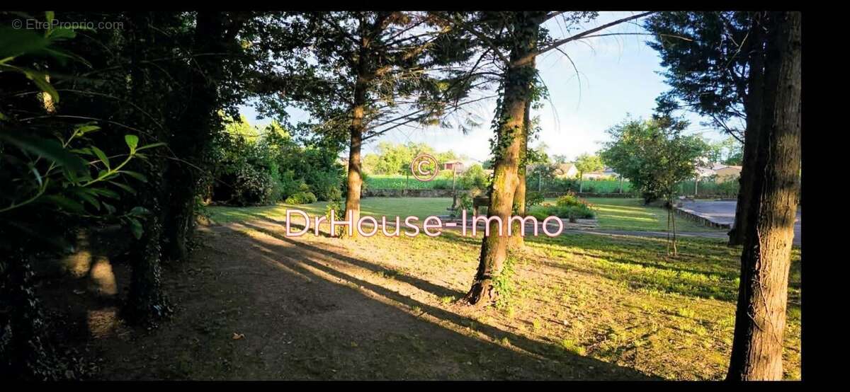 Terrain à SAINT-SULPICE