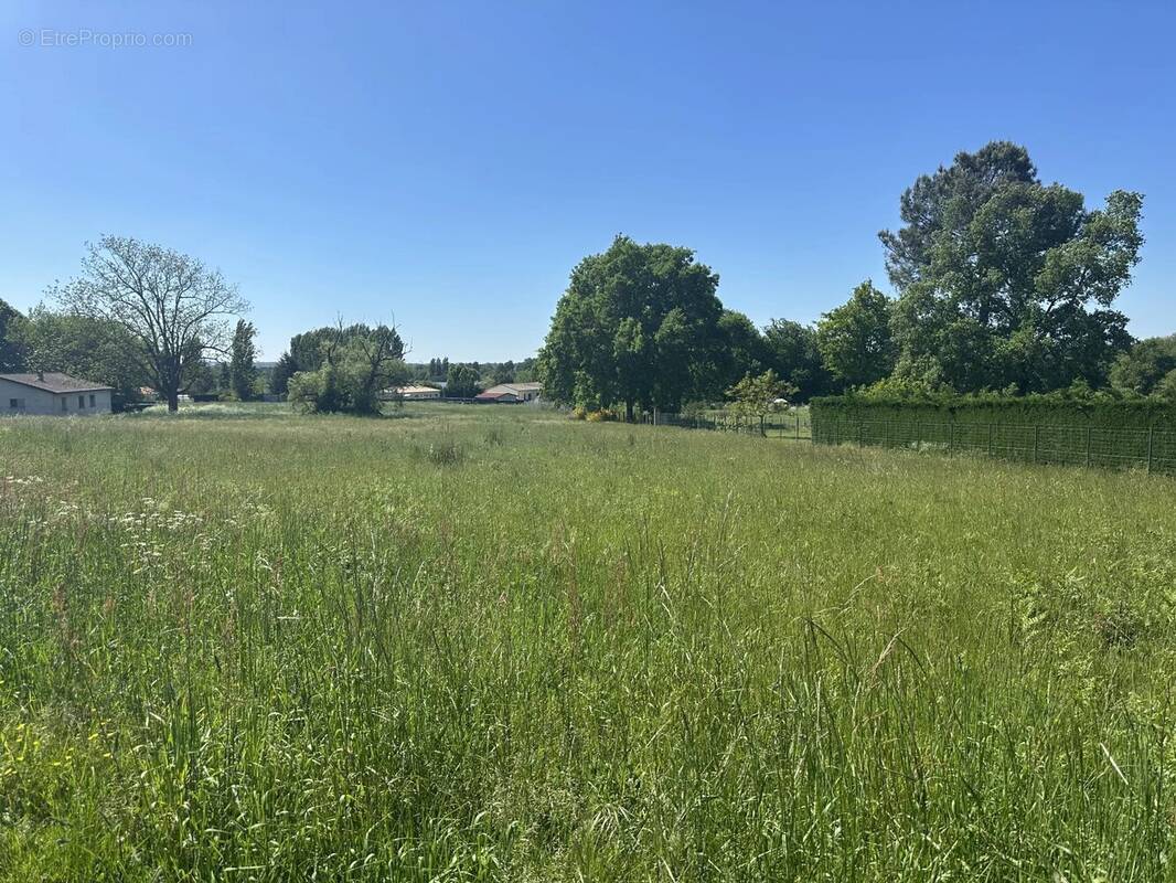 Terrain à SAINT-SAVIN