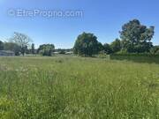 Terrain à SAINT-SAVIN