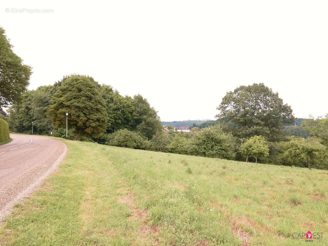 Terrain à LA PETITE-PIERRE