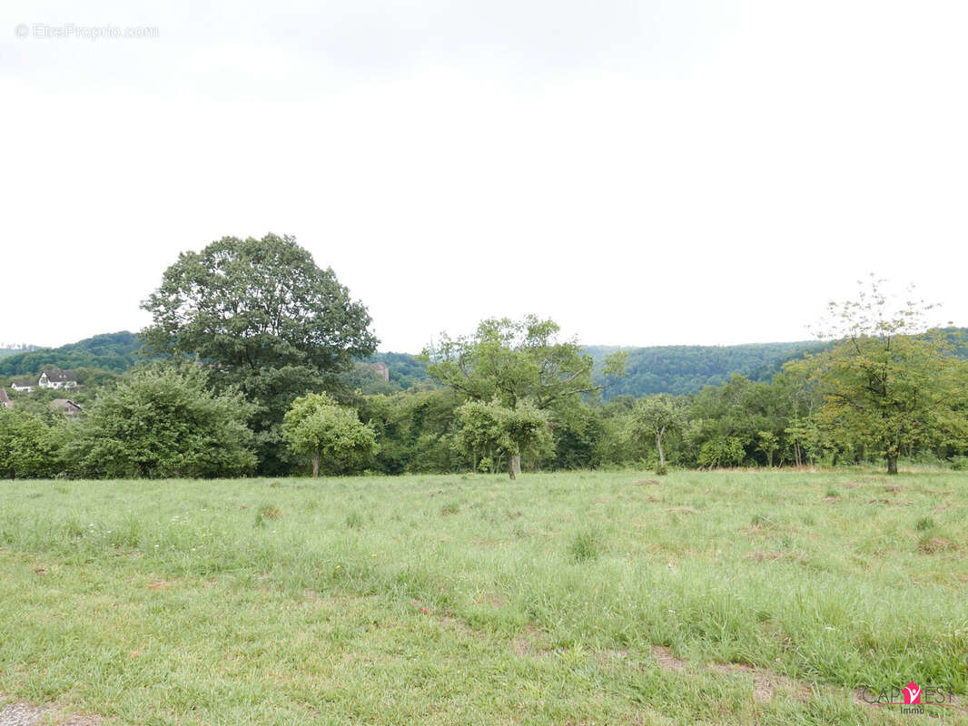 Terrain à LA PETITE-PIERRE