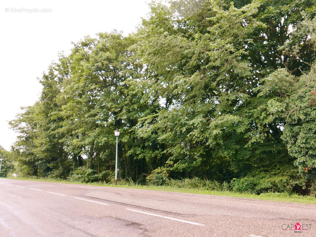 Terrain à LA PETITE-PIERRE