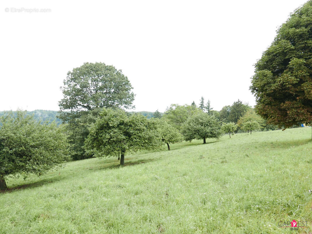 Terrain à LA PETITE-PIERRE