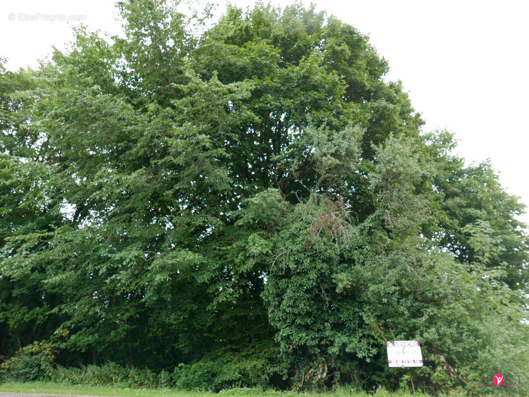 Terrain à LA PETITE-PIERRE