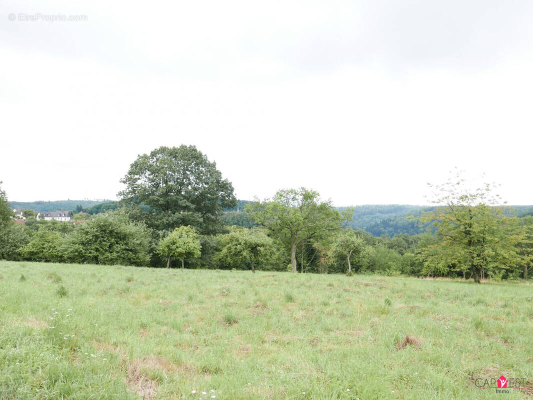 Terrain à LA PETITE-PIERRE