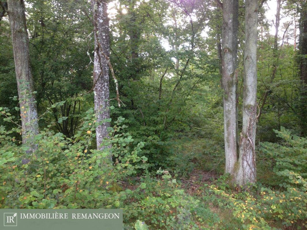 Maison à NEUVY-SUR-BARANGEON