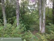 Maison à NEUVY-SUR-BARANGEON