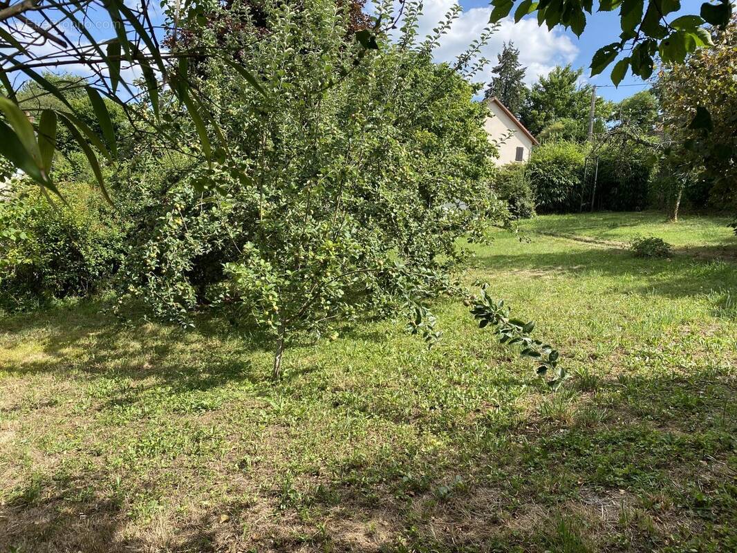 Terrain à PEYRAT-LE-CHATEAU