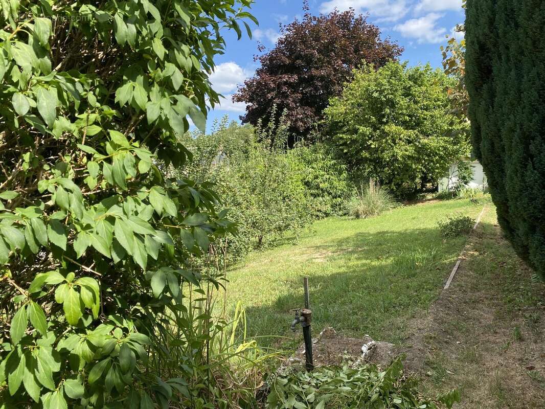 Terrain à PEYRAT-LE-CHATEAU