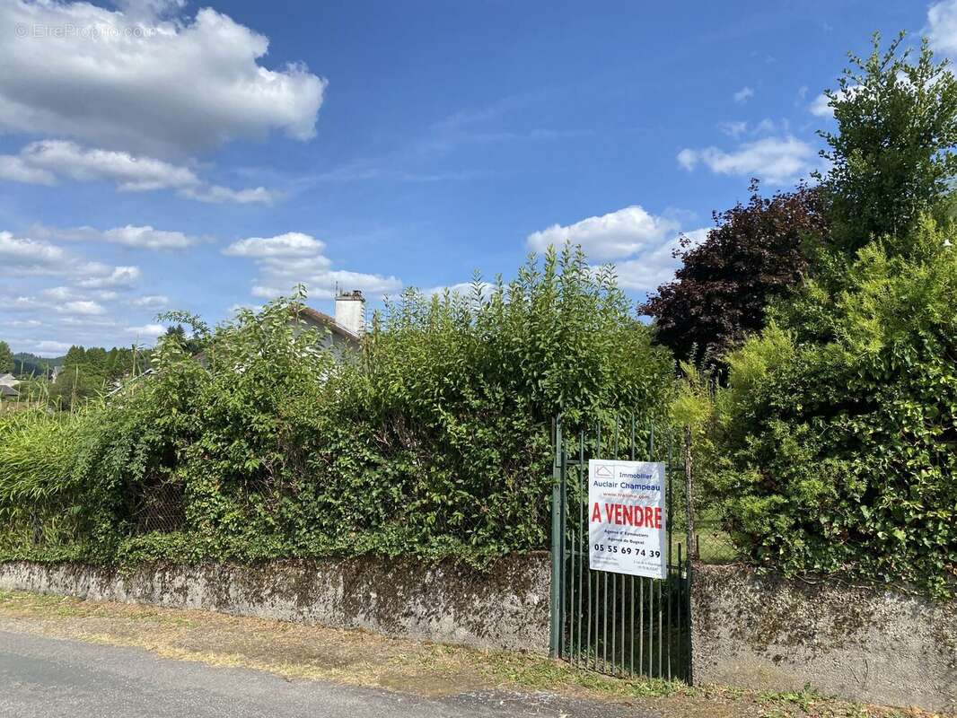 Terrain à PEYRAT-LE-CHATEAU