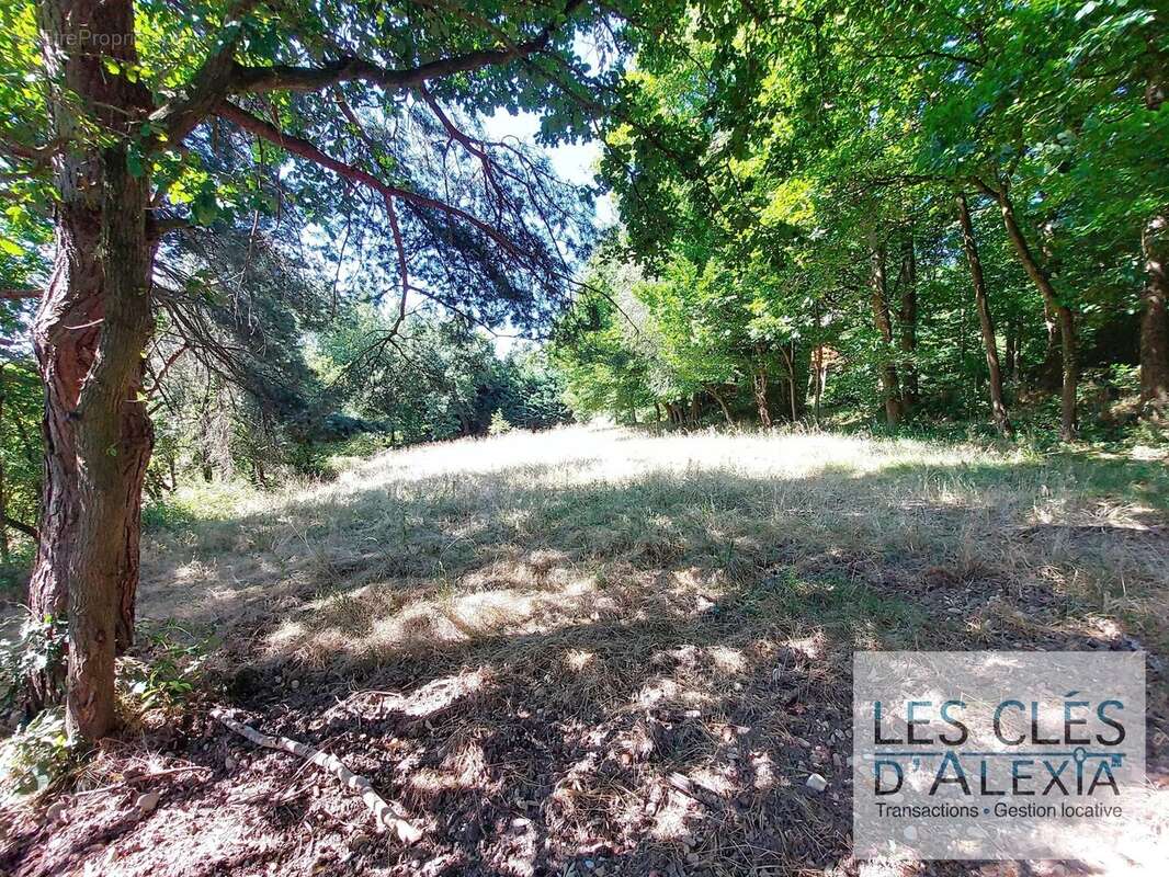 Maison à LES COTES-D&#039;AREY