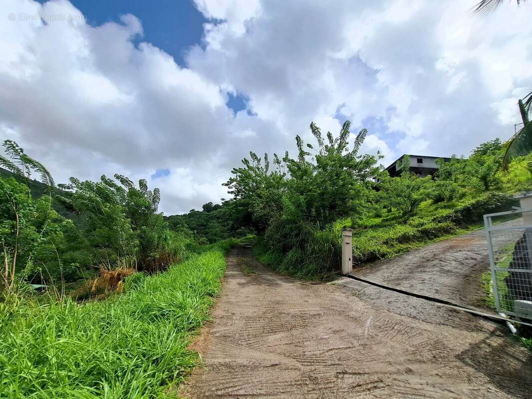 Terrain à SAINTE-LUCE
