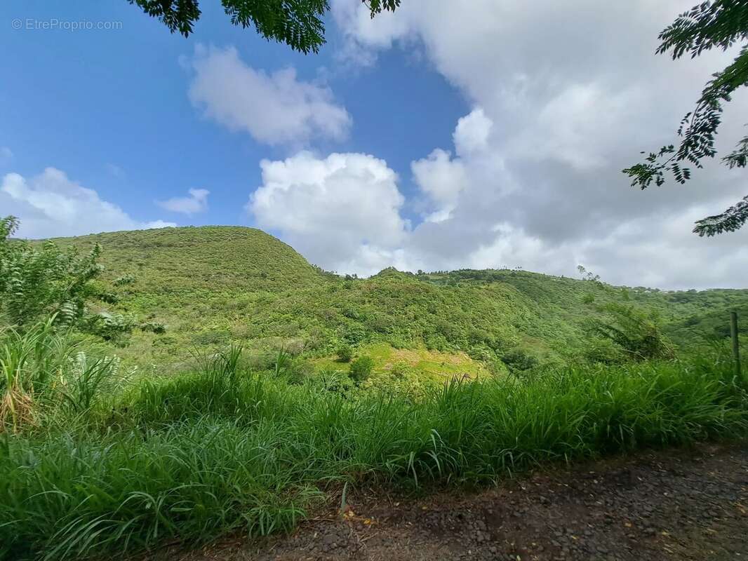 Terrain à SAINTE-LUCE
