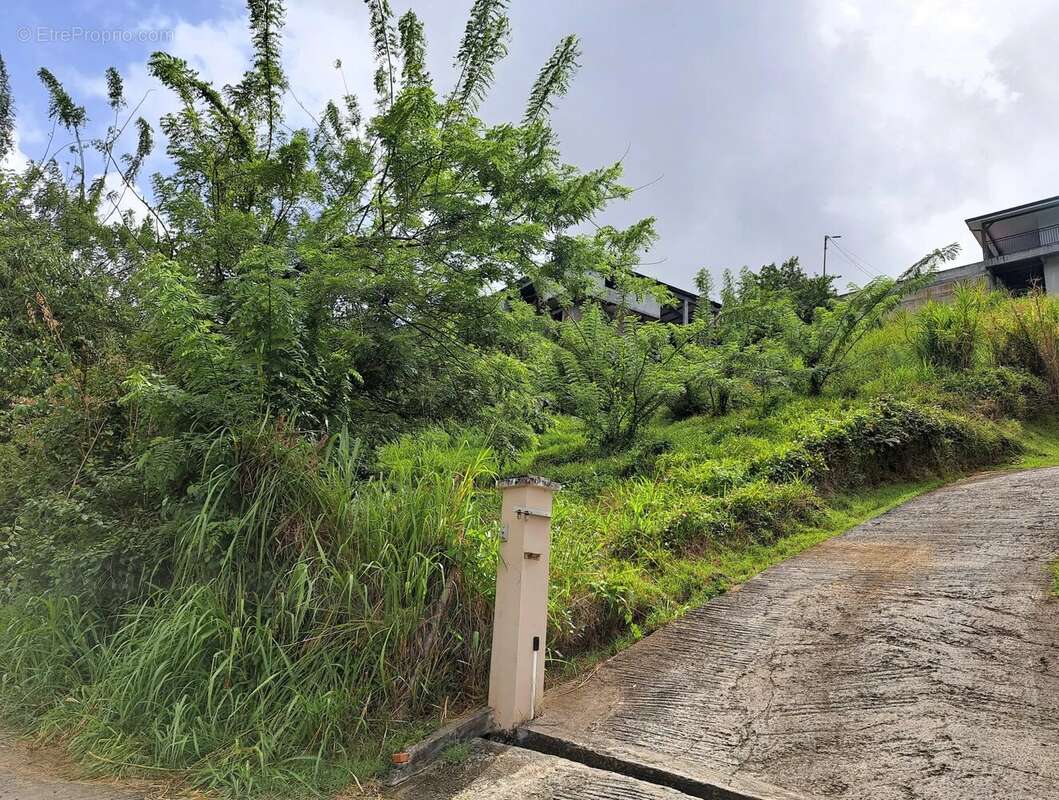 Terrain à SAINTE-LUCE