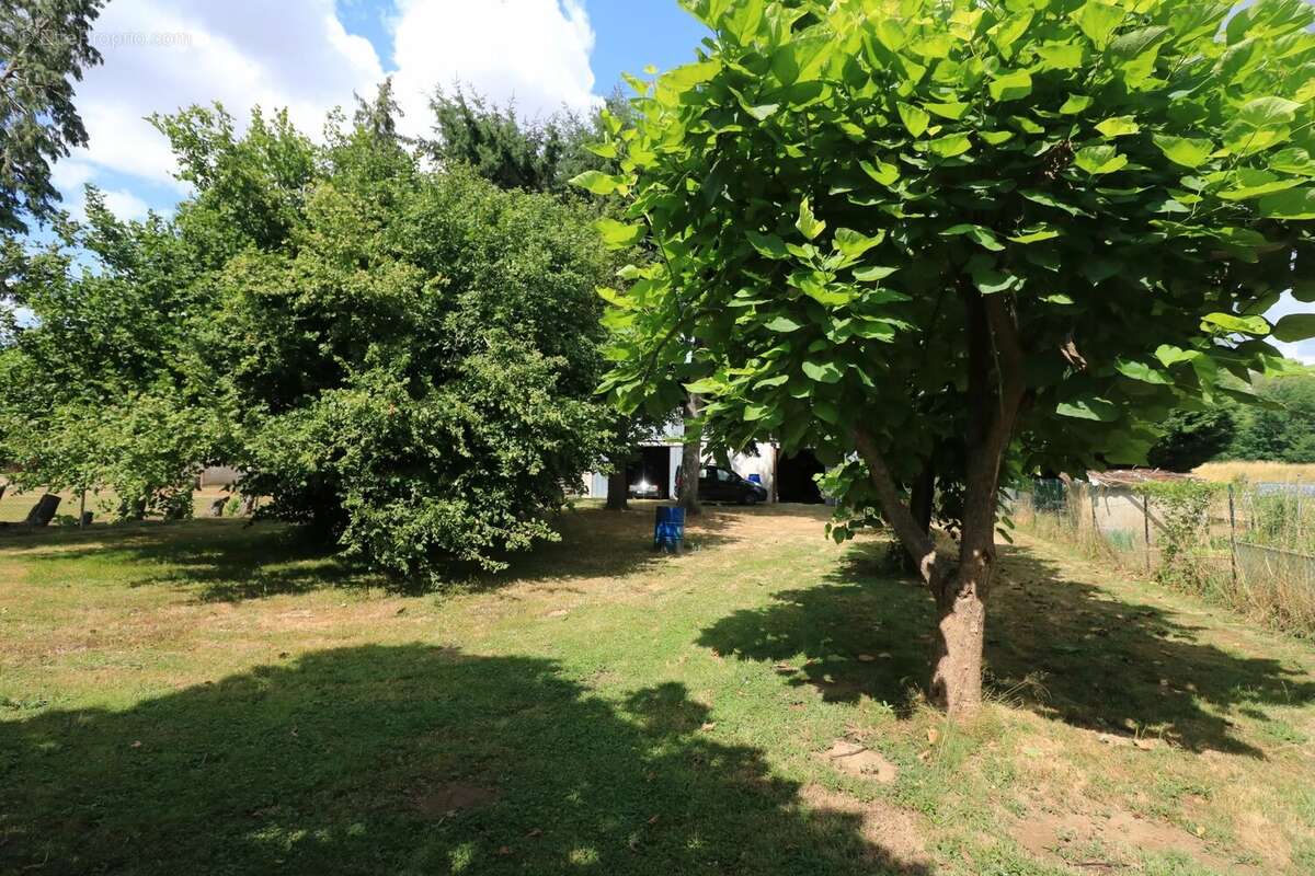 Parking à COURS-LES-BARRES