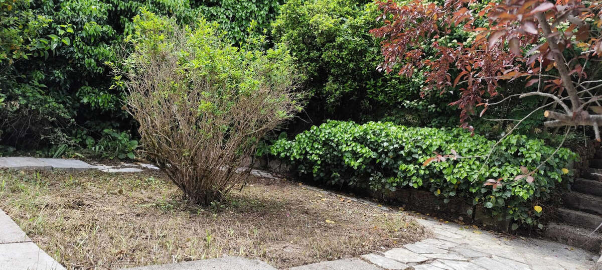 jardin  (3) - Appartement à CAHORS