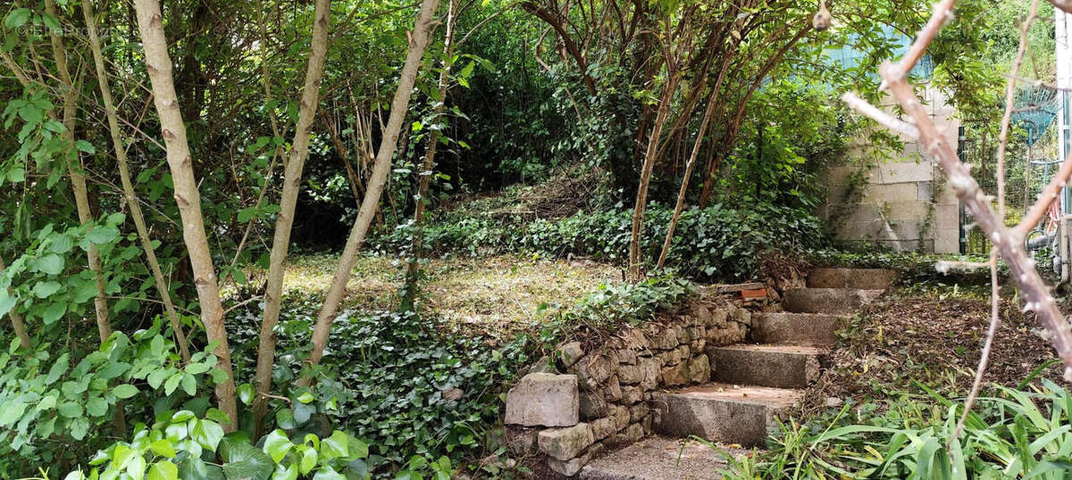 Jardin  - Appartement à CAHORS