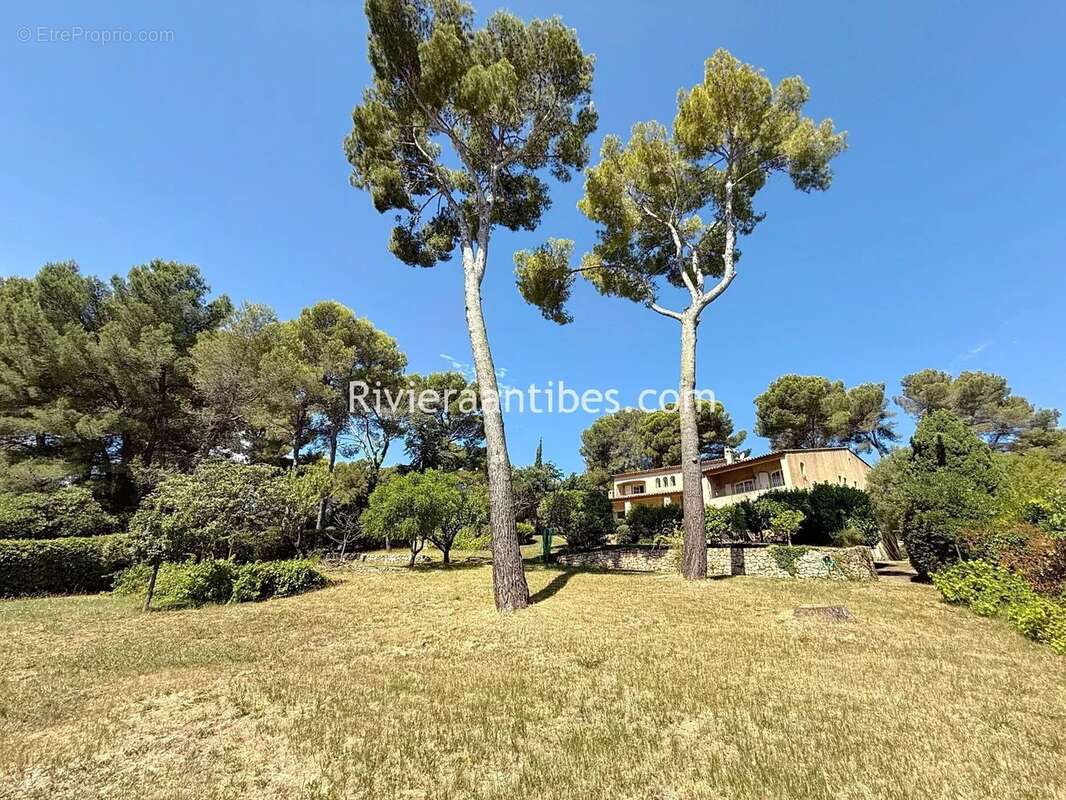 Maison à ANTIBES
