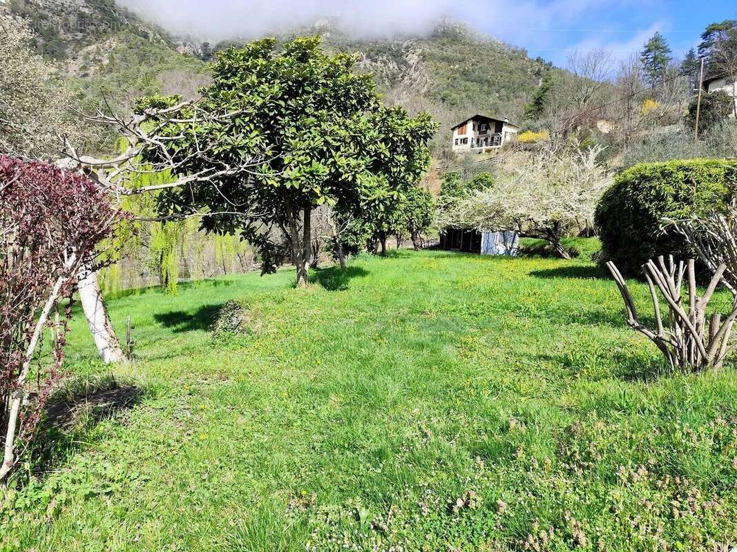 Maison à TOURNEFORT