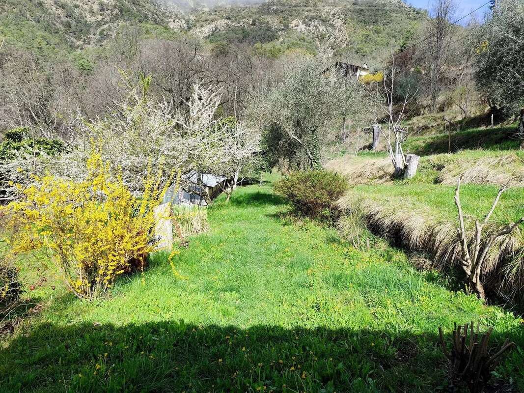 Maison à TOURNEFORT