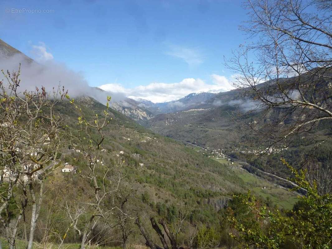Maison à TOURNEFORT