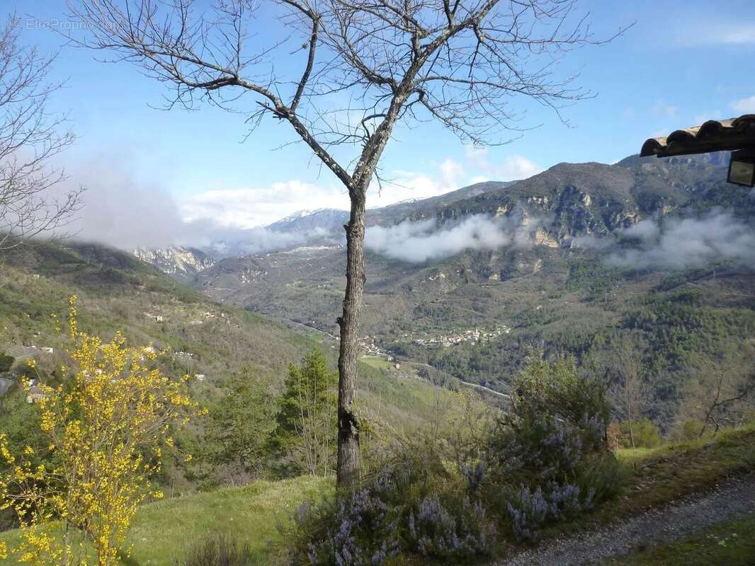 Maison à TOURNEFORT