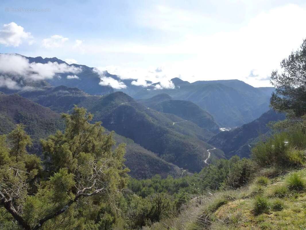 Maison à TOURNEFORT