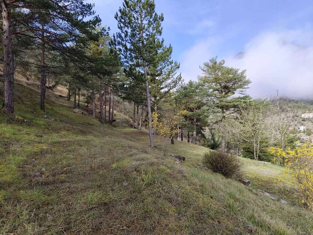 Maison à TOURNEFORT