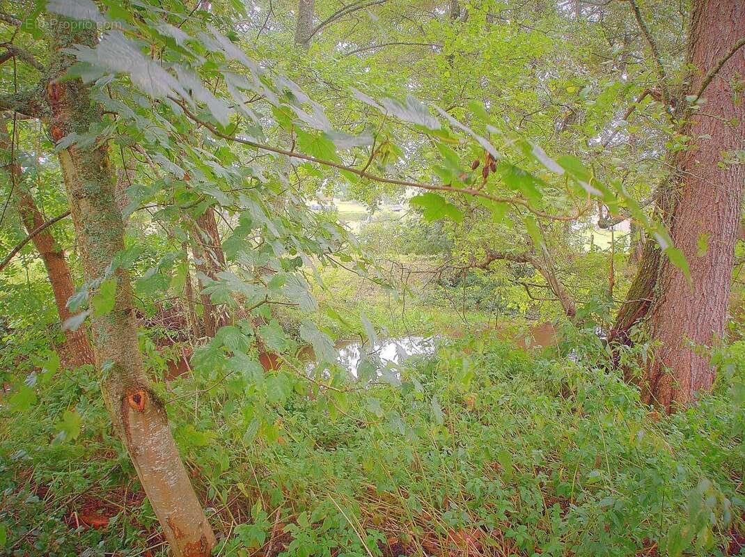 Maison à CONDAT-EN-COMBRAILLE