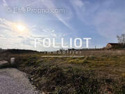 Terrain à BARNEVILLE-CARTERET