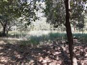   - Terrain à FIGANIERES