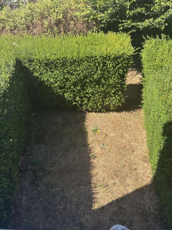 Appartement à VANNES