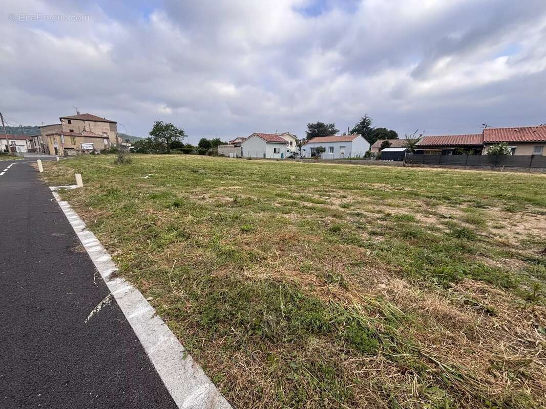 Terrain à SAINT-JEAN-DU-FALGA