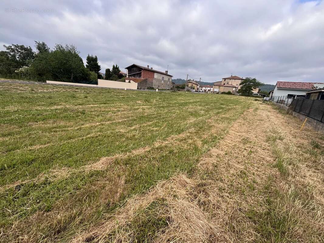 Terrain à SAINT-JEAN-DU-FALGA