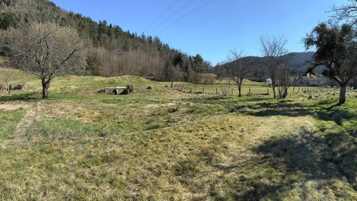 Terrain à DOMMARTIN-LES-REMIREMONT