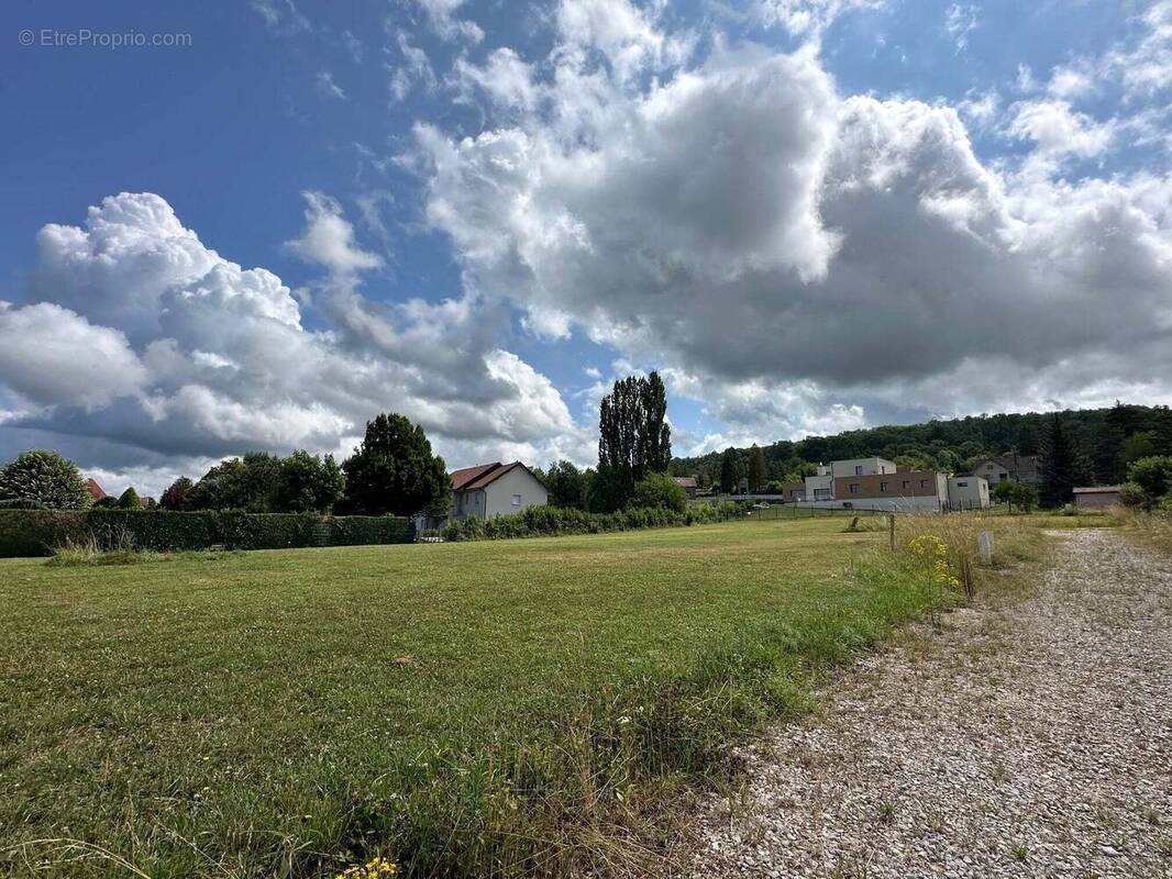 Terrain à VAIVRE-ET-MONTOILLE
