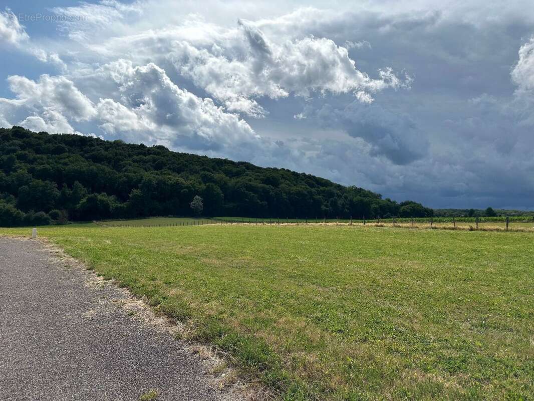 Terrain à NOROY-LE-BOURG