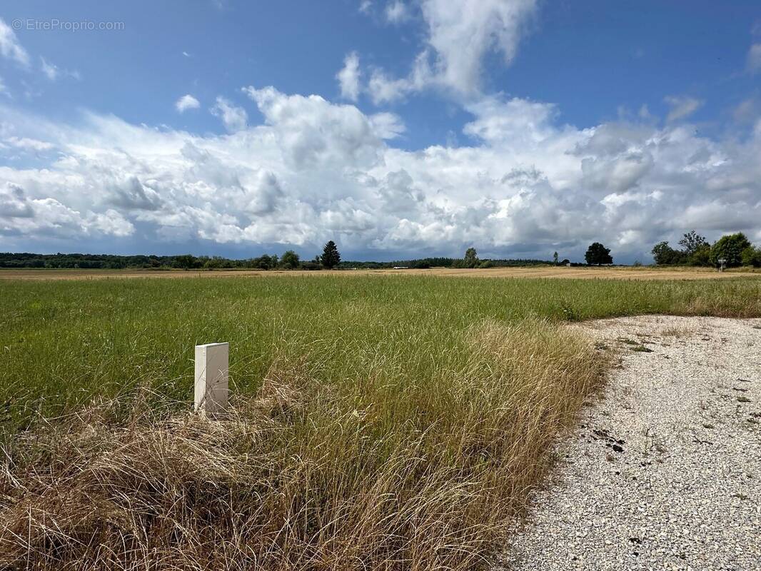 Terrain à FAVERNEY