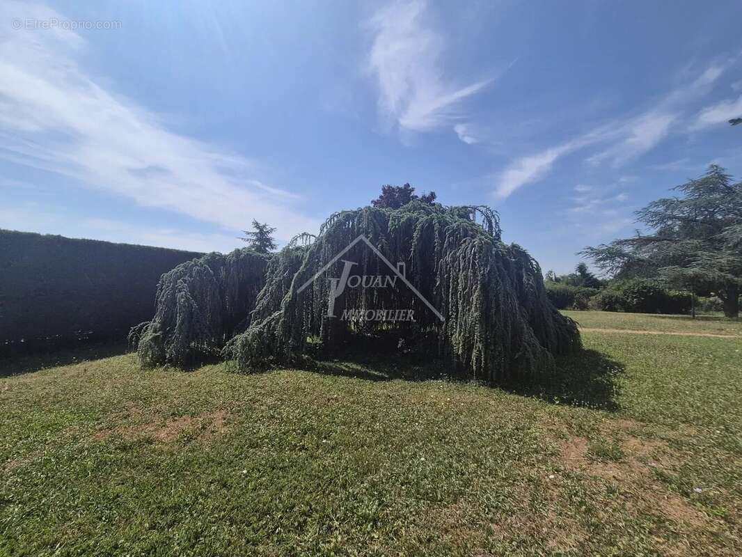 Maison à SAINT-GERMAIN-DE-SALLES