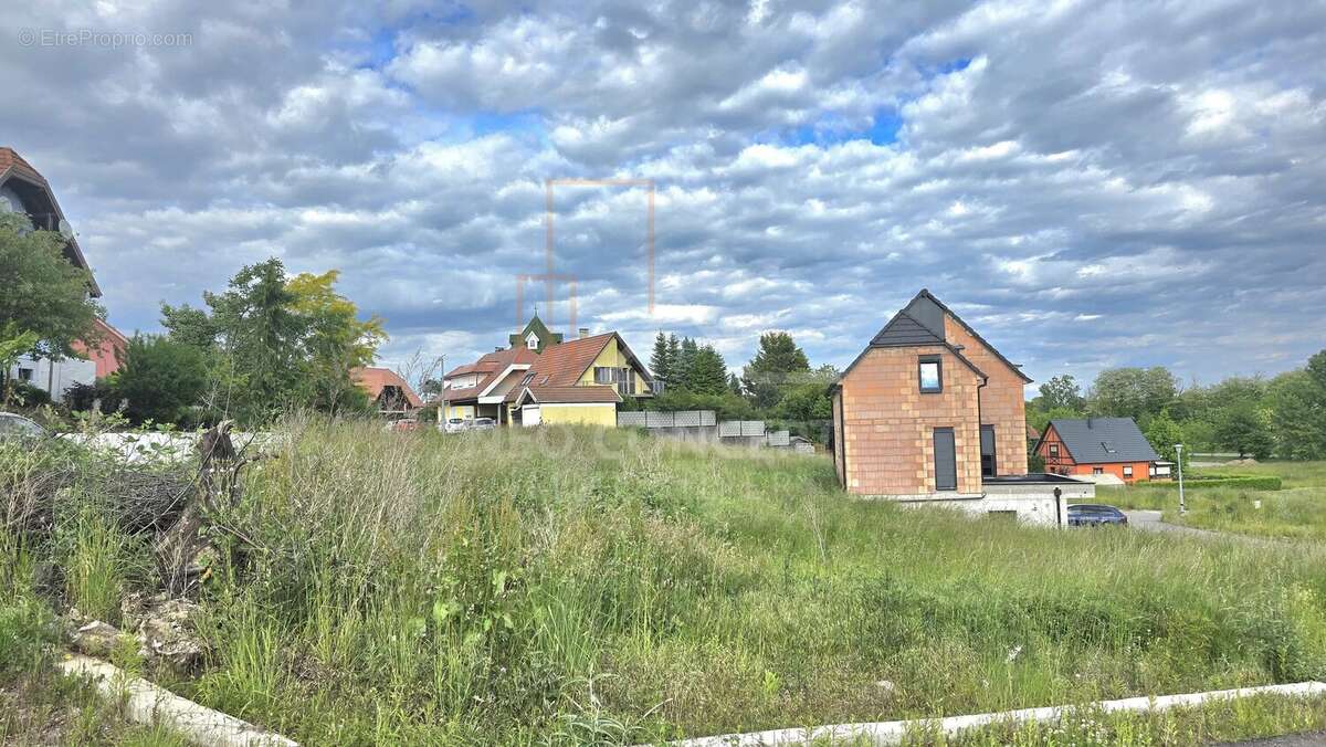 Terrain à WINTZENBACH