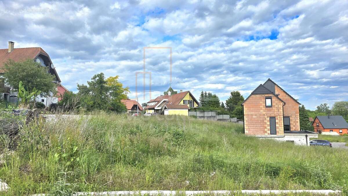 Terrain à WINTZENBACH