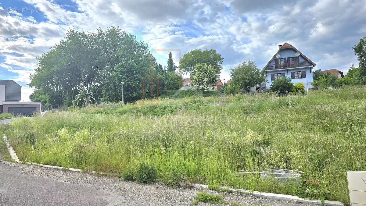 Terrain à WINTZENBACH