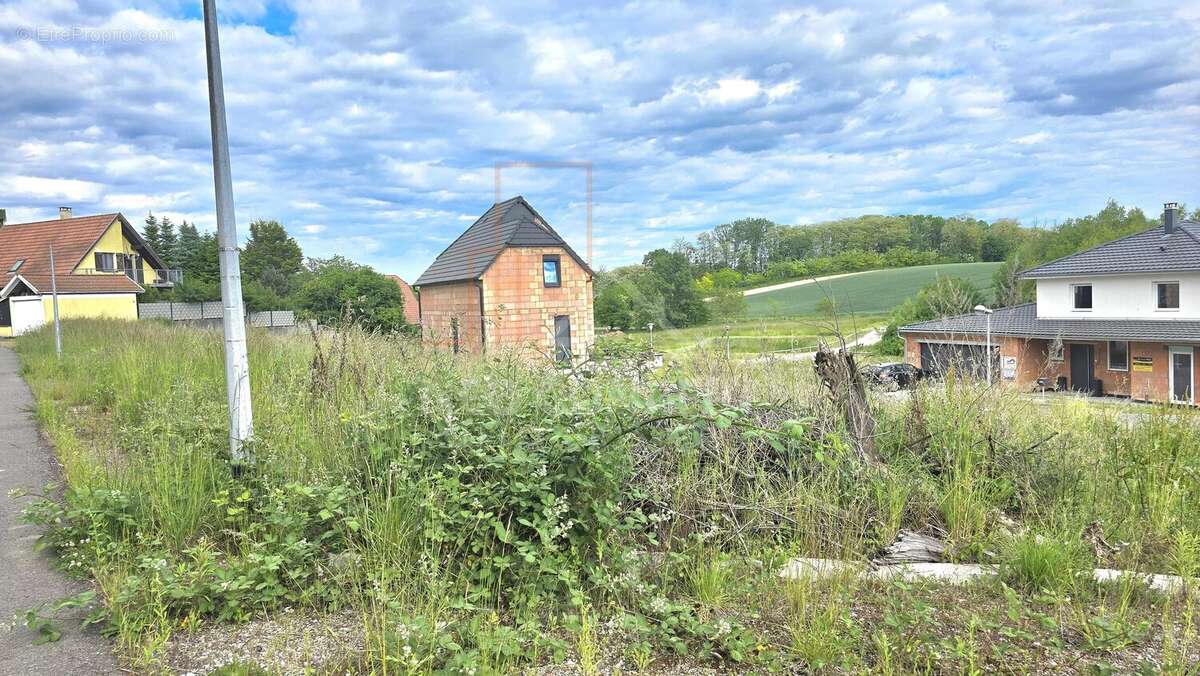 Terrain à WINTZENBACH