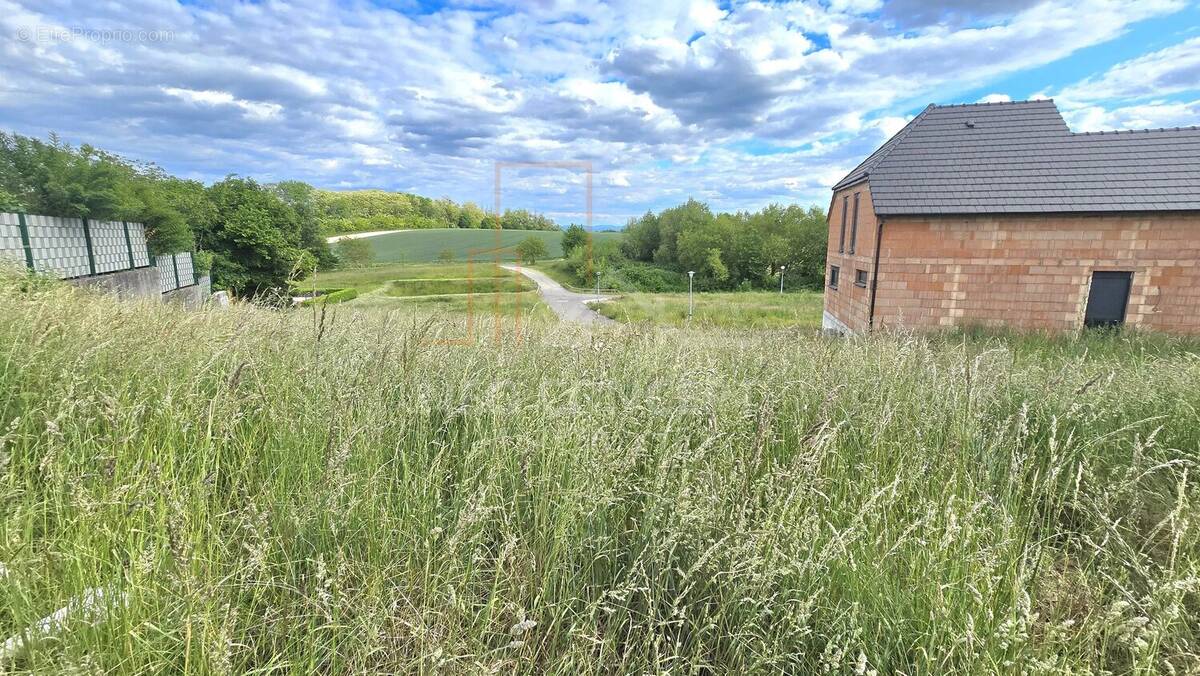 Terrain à WINTZENBACH