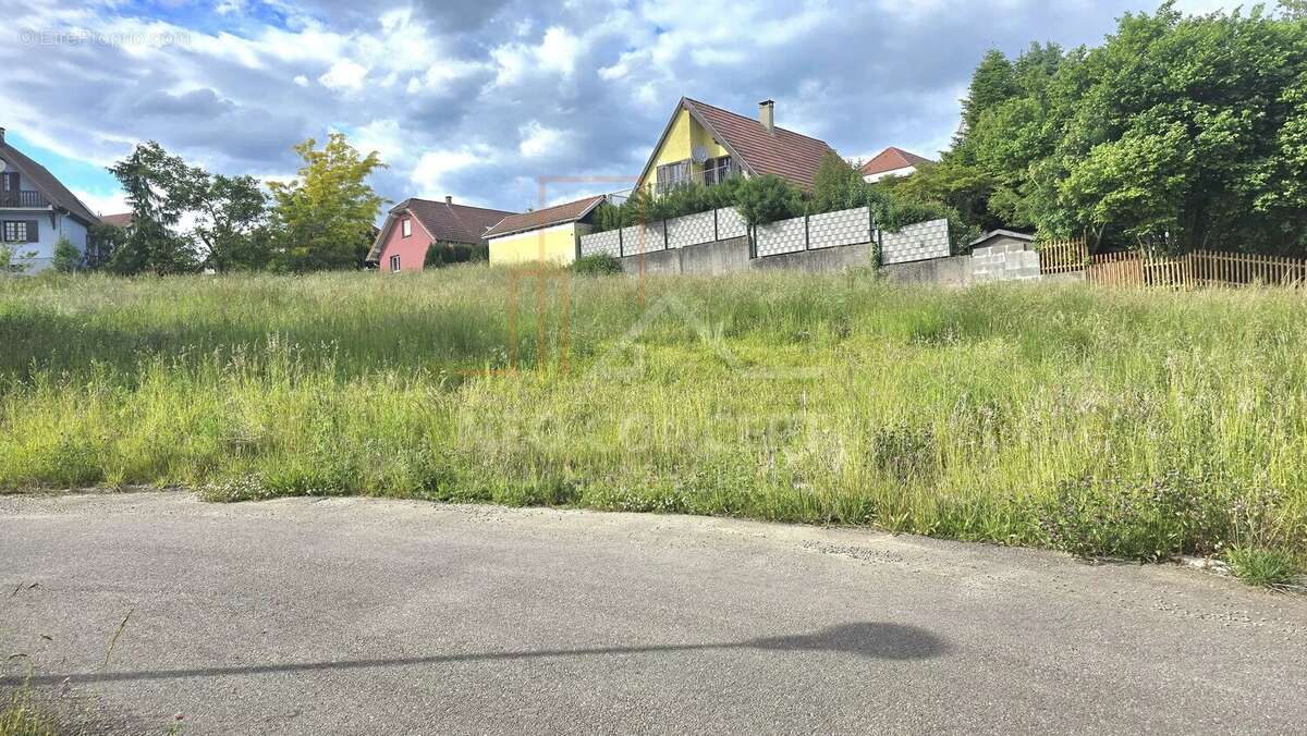 Terrain à WINTZENBACH